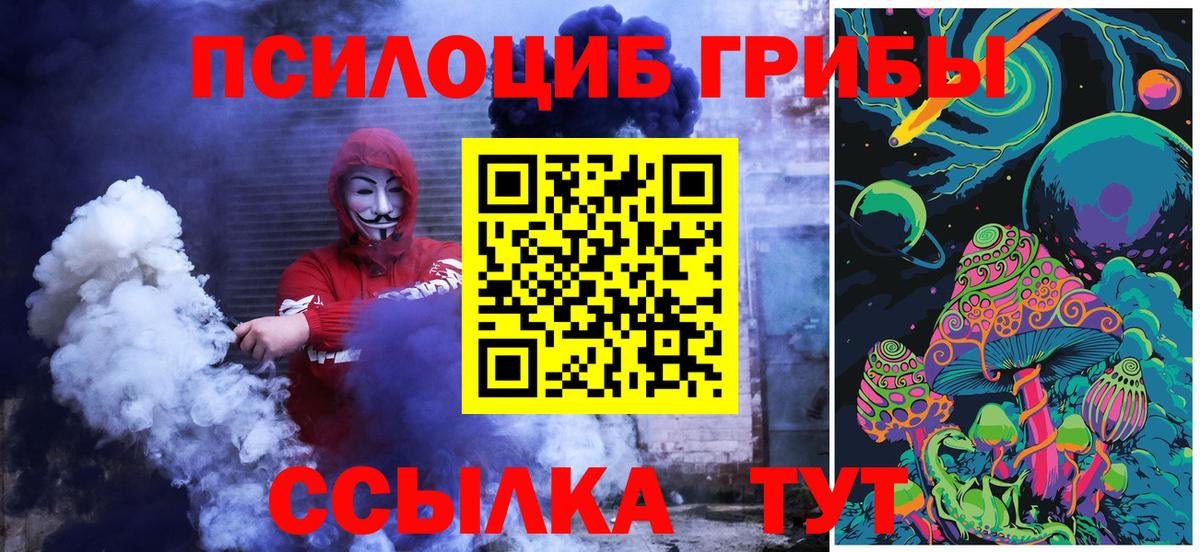 купить наркоту  Вход с VPN  Ефремов  Галлюциногенные грибы мицелий 